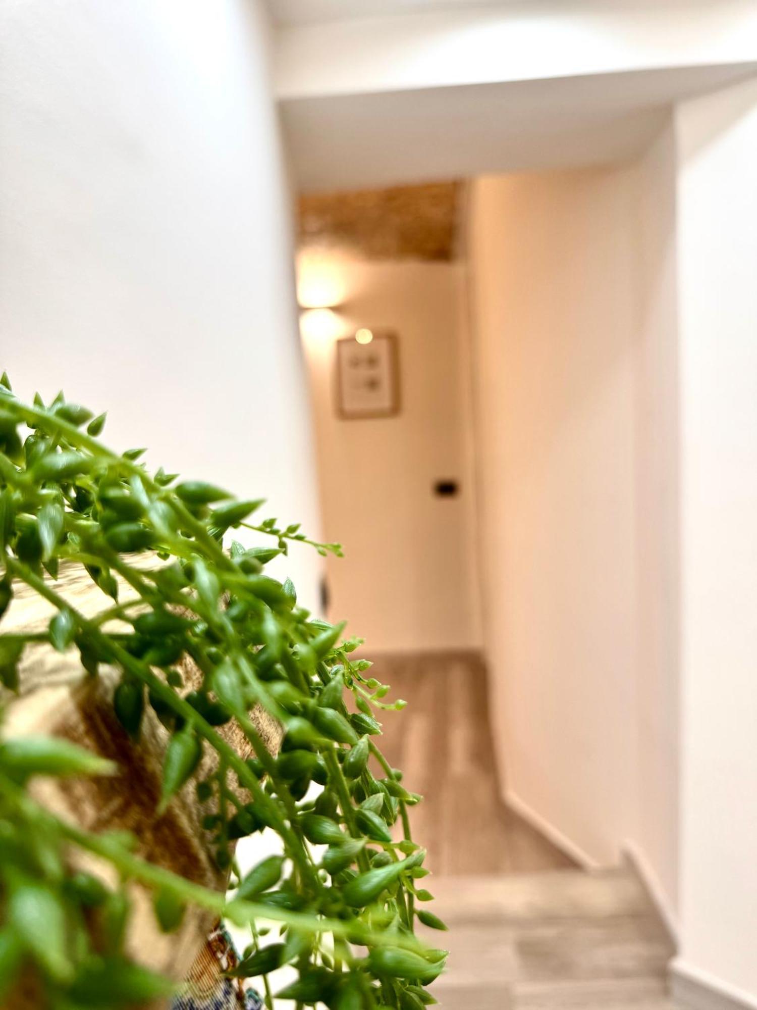 Stationsuite N5 Spa Privata Idromassaggio & Wifi Zona Centrale Vicino Alla Stazione Palermo Exterior foto